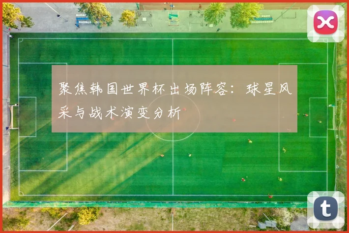聚焦韩国世界杯出场阵容：球星风采与战术演变分析